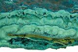 Teal Botryoidal Chrysocolla and Malachite - Chile #310152-1